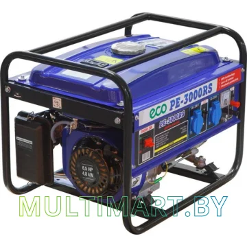 Электростанция ECO PE-3000RS